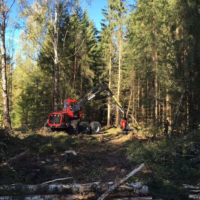 Rød maskin i skog