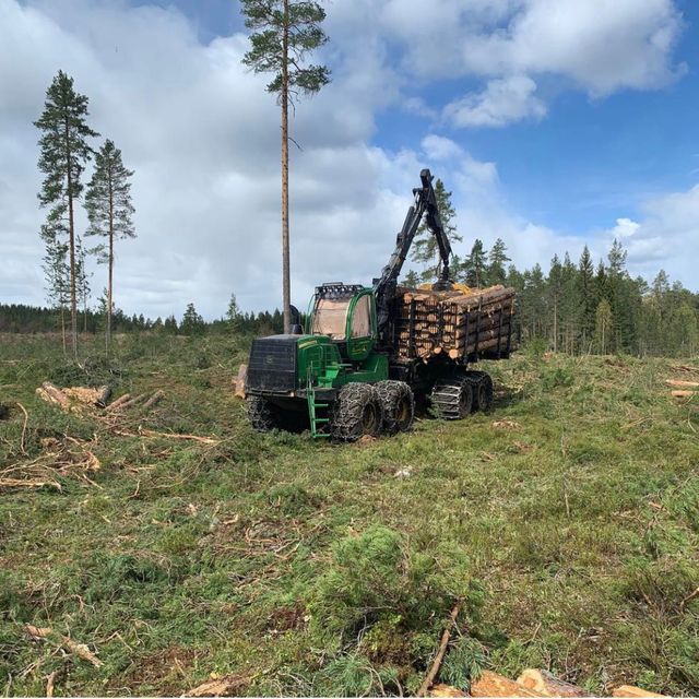 Maskin i bruk i skog på dagtid